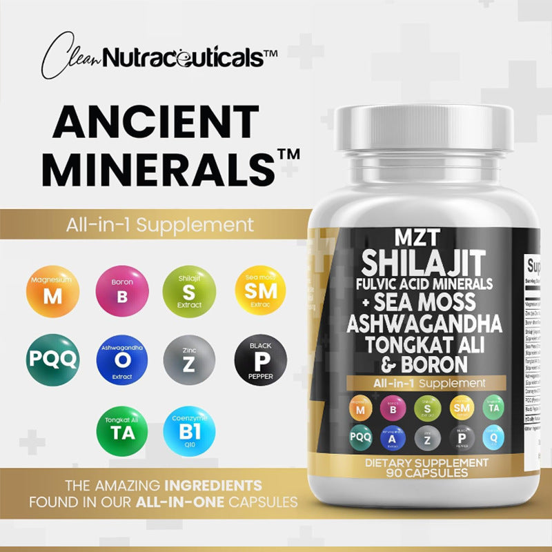 đ§ PureShilajitâą â Capsules de Shilajit 100 % Naturel