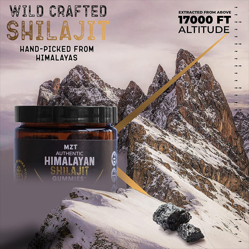 🔥 ShilaBoost™ Shilajit Gummies – Énergie Pure & Clarté Mentale au Quotidien