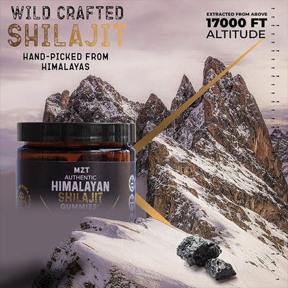 🔥 ShilaBoost™ Shilajit Gummies – Énergie Pure & Clarté Mentale au Quotidien